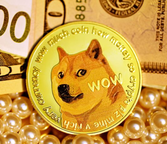 Pundit Provides Dogecoin Value 30-40% Likelihood Of Crash To $0.165 As RSI Enters Oversold Ranges