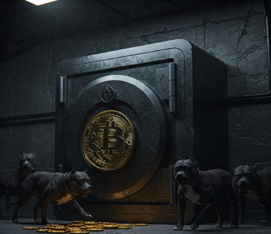Bitcoin’s Protected, Saylor Says, Whereas Trump Waves The Tariff Sword