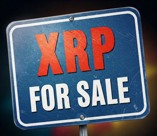 XRP Dump? Not So Quick—Software program Engineer Says Panic Promoting Makes No Sense