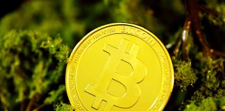 Bitcoin Value Crash: Crypto Analyst Reveals What Would Reject Present Bearish Speculation Bitcoin Value Crash: Crypto Analyst Reveals What Would Reject Present Bearish Speculation