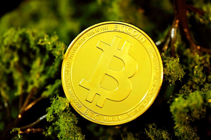 Bitcoin Value Crash: Crypto Analyst Reveals What Would Reject Present Bearish Speculation