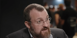 Bitcoin Will Explode To $250,00 By Yr-Finish, Predicts Cardano Founder