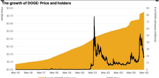 From Joke To Juggernaut: Dogecoin Worth Revolution Will get Nod From World Asset Big