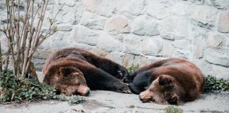 Skilled Analyst Warns Bitcoin/VIX Is Not Bullish: Bear Market Alerts