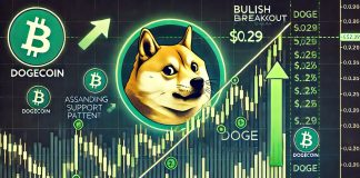 Dogecoin Gears Up For A Breakout To $0.29: Can Bulls Maintain Key Assist?