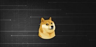 Dogecoin Worth To Enter Section E After Testing Final Level Of Help, Right here’s The Goal