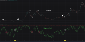 Bitcoin Provide In Revenue Hasn’t Misplaced This Key Stage But—Bull Cycle Intact?
