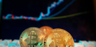 Bitcoin Dominates Q1: Altcoin Season Nowhere In Sight—Report