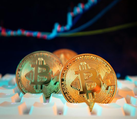 Bitcoin Dominates Q1: Altcoin Season Nowhere In Sight—Report