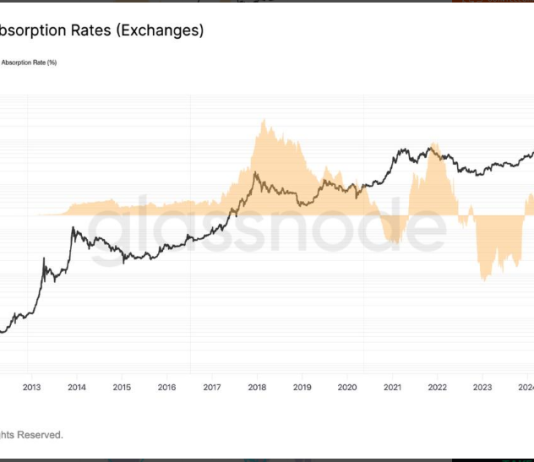 Whales Swallowing Bitcoin Quick — Will This Push BTC Value Up?