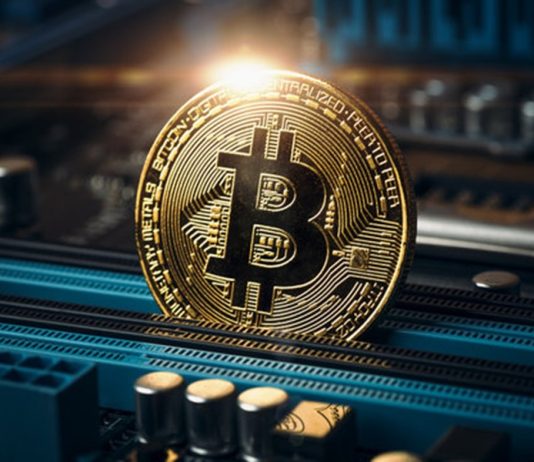 Bitcoin’s Largest Holders Are Stacking Once more — What It Means For The Market