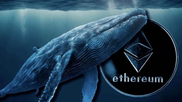 Lengthy-Time period Ethereum Holder Sells $27 Million Value of ETH