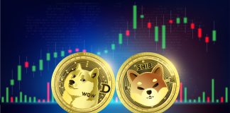 Why Did The Dogecoin And Shiba Inu Costs Surge Over 10%?
