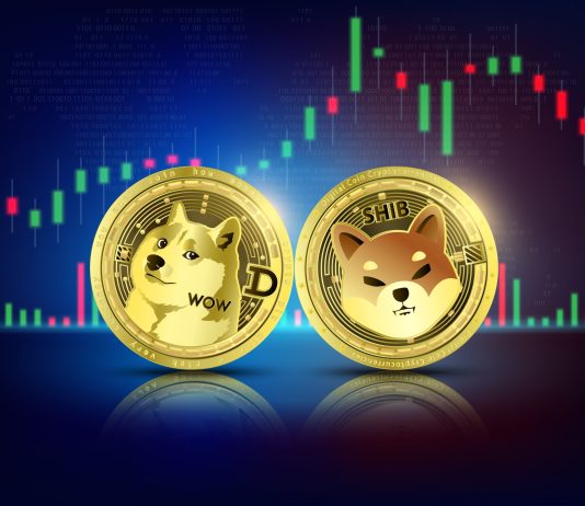 Why Did The Dogecoin And Shiba Inu Costs Surge Over 10%?