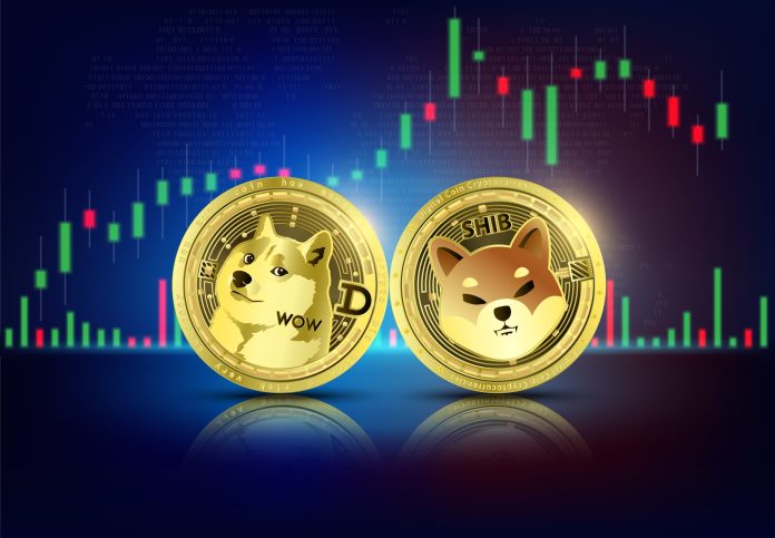 Why Did The Dogecoin And Shiba Inu Costs Surge Over 10%? Why Did The Dogecoin And Shiba Inu Costs Surge Over 10%?