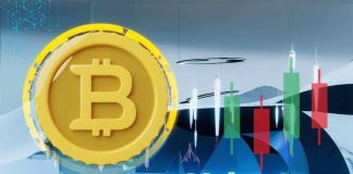 Two Worlds, One Blockchain: The Story of Bitcoin and Its Rivals