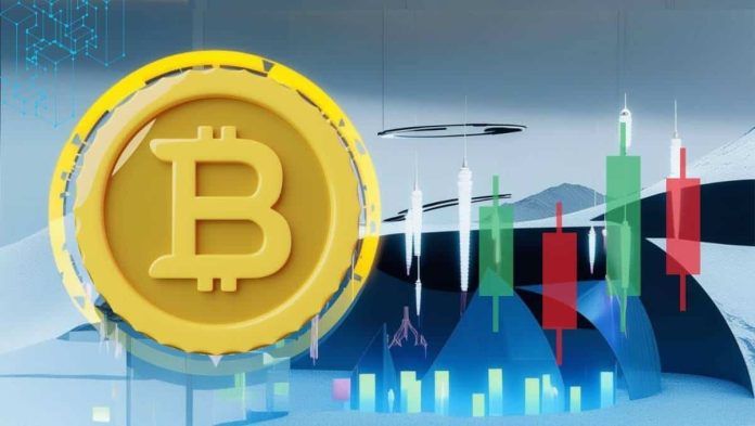 Two Worlds, One Blockchain: The Story of Bitcoin and Its Rivals