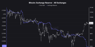 Why Has Bitcoin Rally Stalled? On-Chain Information Supplies Hints