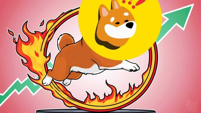 BONK Worth Prediction: BONK Targets $0.000025 Breakout as Meme Coin Momentum Builds on Solana