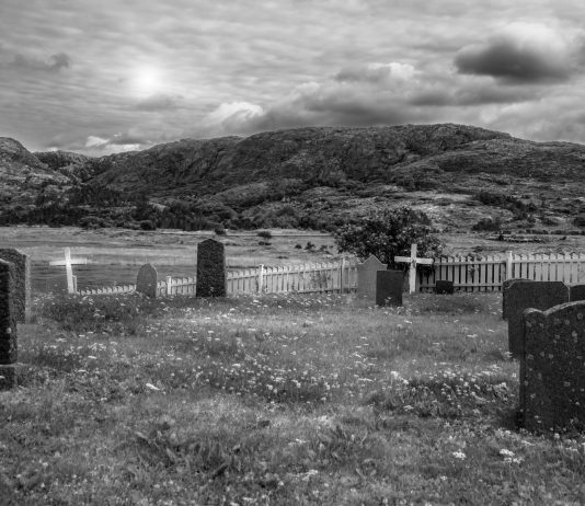 Crypto Graveyard: 50% Of Tokens Have Failed Within the Previous 5 years – Report