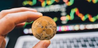 XRP Worth Macro Channel Breakout That Places Targets At $17-$55