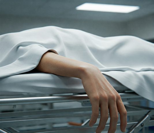 Lifeless On Arrival: 25% Of New Crypto Tokens Didn’t Survive Q1 ’25