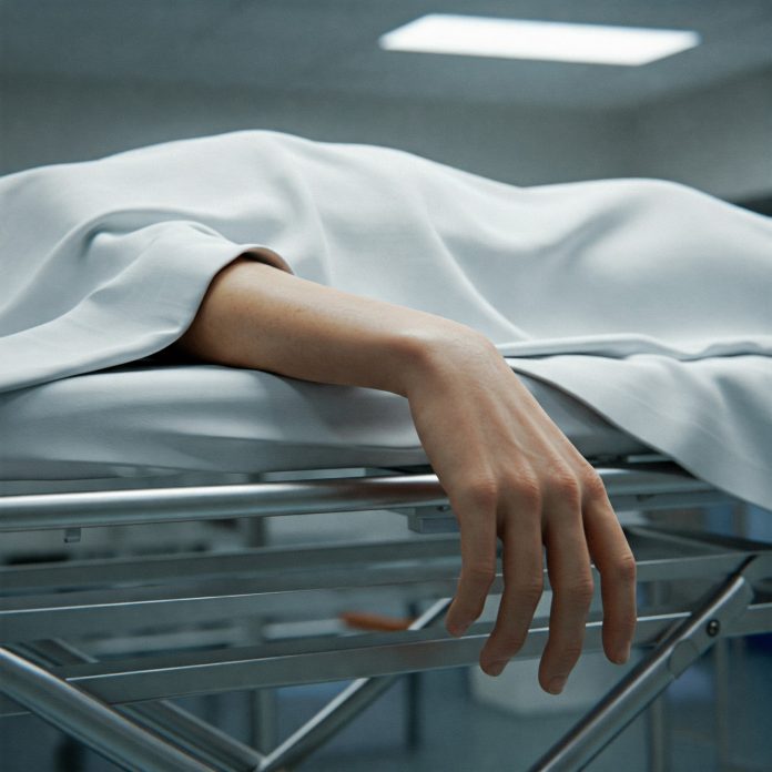 Lifeless On Arrival: 25% Of New Crypto Tokens Didn’t Survive Q1 ’25