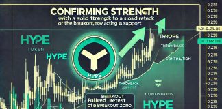 HYPE Confirms Power With Stable Throwback Response – Bullish Reversal?
