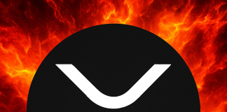 Crypto Pundit Debunks $100,000 XRP ‘Darkish Pool’ Concept