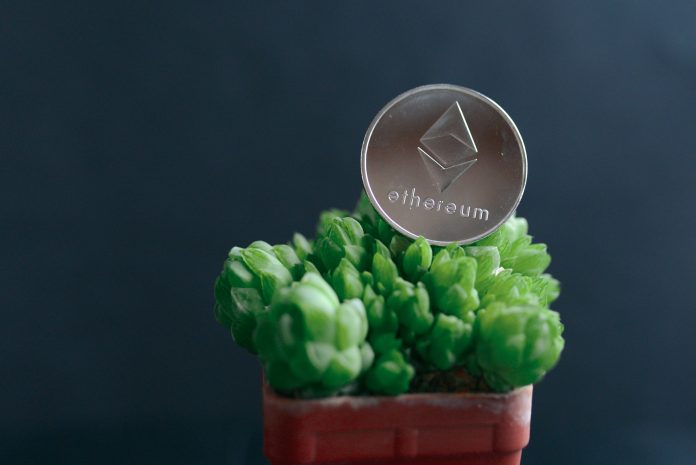 Ethereum Holders Keep Dedicated Regardless of Unrealized Losses – Indicators Of An Incoming Rally?