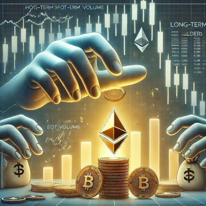 Ethereum Spot Quantity Declines Whereas Lengthy-Time period Holders Proceed Accumulating