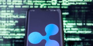 Analyst Says These Elements Will Drive XRP Value To $1,000, However What Does Market Cap Say?