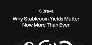 Why Stablecoin Yields Matter Now Extra Than Ever