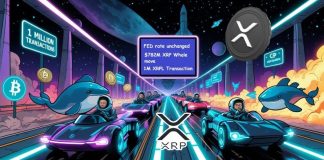 XRP Information As we speak: XRP Whales Transfer $782M as XRP Ledger Surpasses 1M Transactions Following Fed Choice