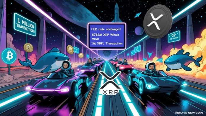 XRP Information As we speak: XRP Whales Transfer $782M as XRP Ledger Surpasses 1M Transactions Following Fed Choice