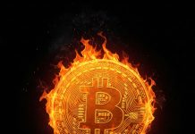 Trump Commerce Information Ignites Bitcoin Mania—$100Ok Coming?