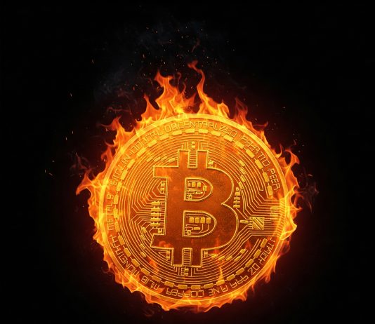 Trump Commerce Information Ignites Bitcoin Mania—$100Ok Coming?