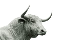 New XRP Rally Incoming? Analyst Believes This Cycle Is Distinctive