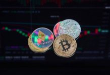 When Hypothesis Turns into Technique in Web3 Investing