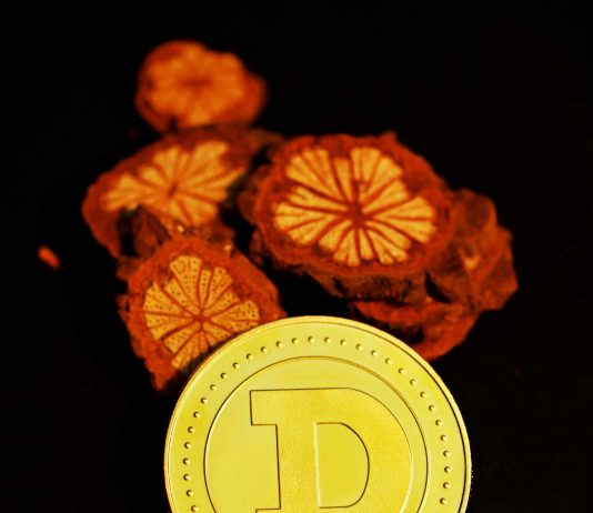 Dogecoin’s $1 Dream: Analyst Reveals When It Might Lastly Occur