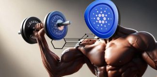 Cardano Worth Prediction: ADA Eyes 15% Rally as Technical Breakout Beneficial properties Energy