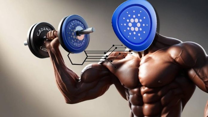 Cardano Worth Prediction: ADA Eyes 15% Rally as Technical Breakout Beneficial properties Energy