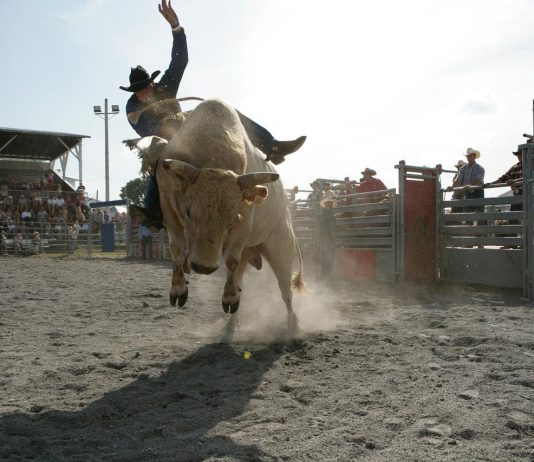Is Bitcoin Bull Run Again? Each day RSI Reveals Solely Gentle Bullish Momentum Is Bitcoin Bull Run Again? Each day RSI Reveals Solely Gentle Bullish Momentum