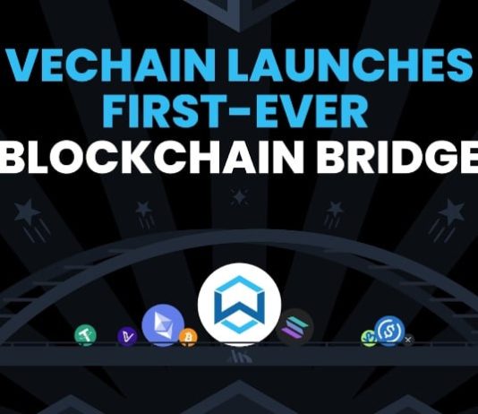 Wanchain unveils first-ever cross-chain bridge connecting VeChain to Ethereum, Bitcoin, Solana and extra