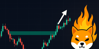 Shiba Inu Bulls Roar To Life After Breakout—Subsequent Worth Targets