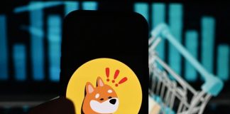 Solana’s BONK Targets 77% Corrective Transfer After Retrace To 200 EMA