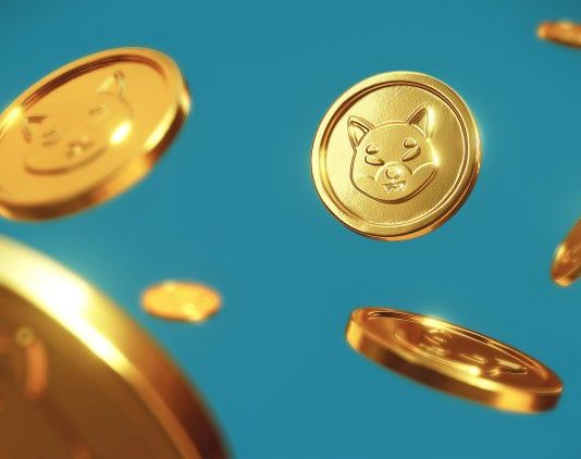 Shiba Inu’s Shibarium Struggles As New Accounts Crash To Recent Lows