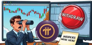 Pi Community Information: Insider Promoting Raises Pink Flags as Pi Coin Withdrawal Surge Sparks Volatility