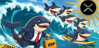 XRP Information Right now: XRP Dips Amid $300M Ripple Stablecoin Shock and Uncommon Whale Imbalance
