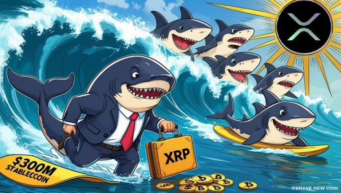 XRP Information Right now: XRP Dips Amid $300M Ripple Stablecoin Shock and Uncommon Whale Imbalance
